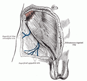 sports hernia surgery